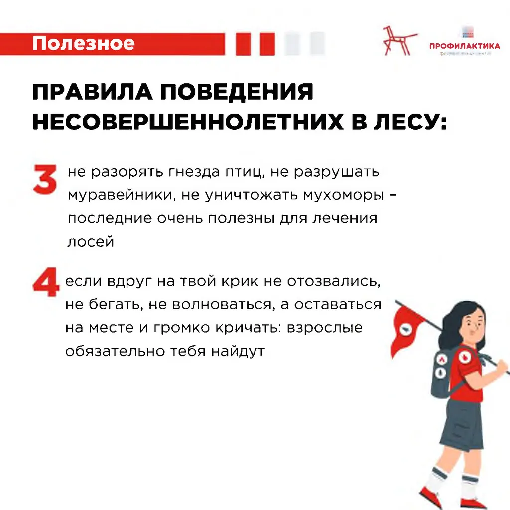 правила в лесу