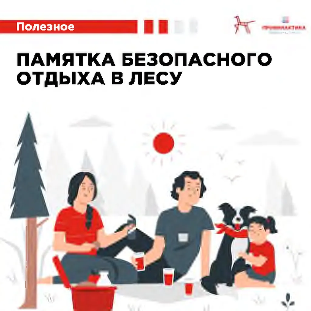 памятка в лесу