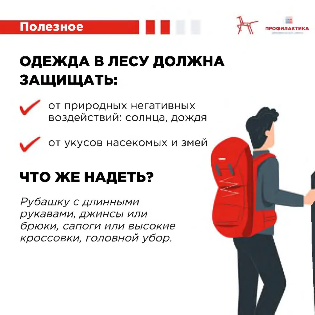одежда