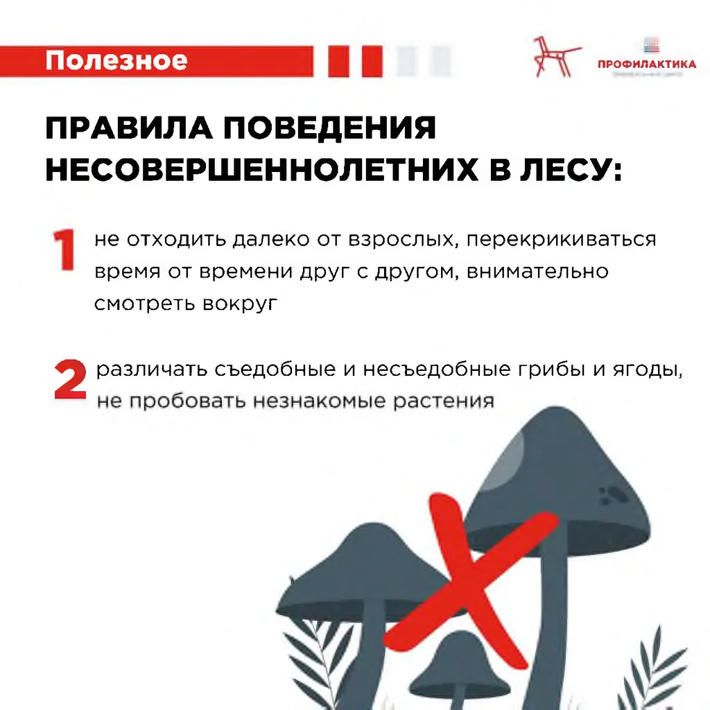 правила поведения в лесу